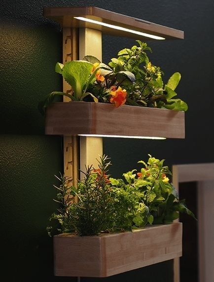 Associations de plantes aromatiques - le design - aspect visuel